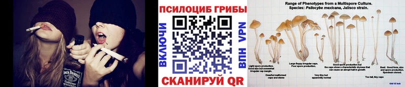кракен ССЫЛКА  Грязи  Псилоцибиновые грибы GOLDEN TEACHER 