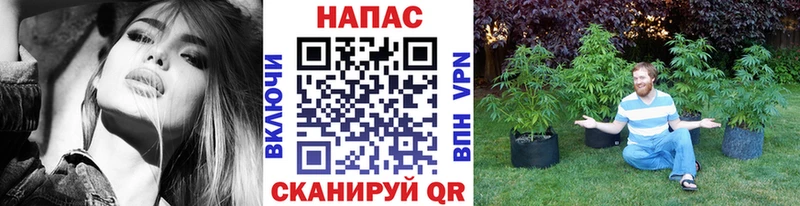 Шишки марихуана SATIVA & INDICA  Грязи 
